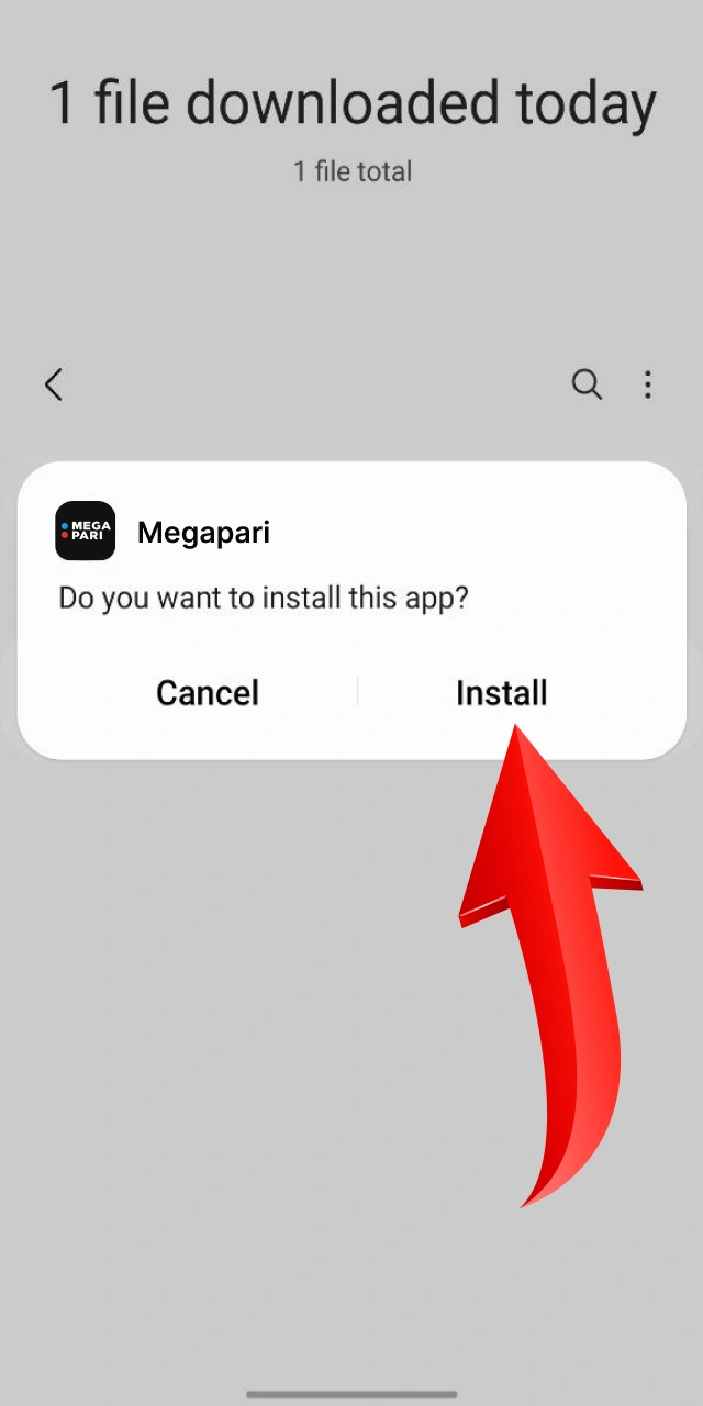 Tap install to complete the setup of the Megapari app.