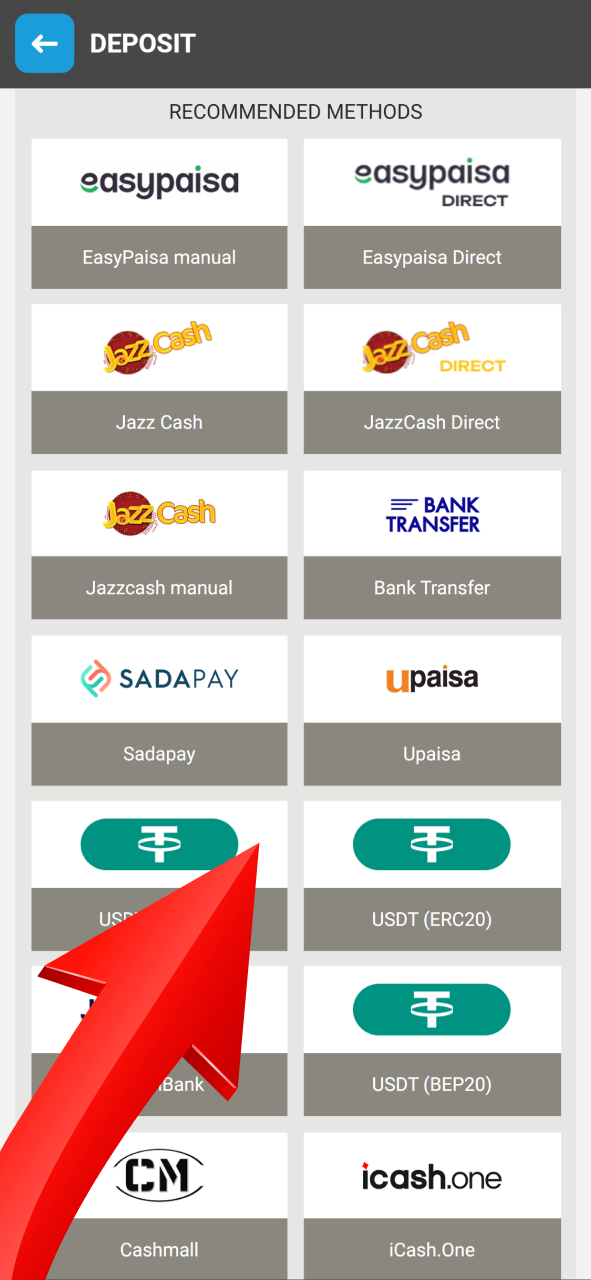 Pick a funding method to add money to your Megapari account.