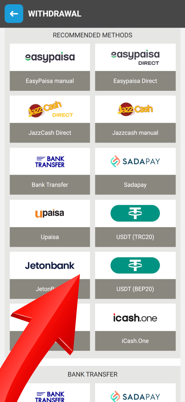 Select a payment system for your withdrawal from Megapari options.