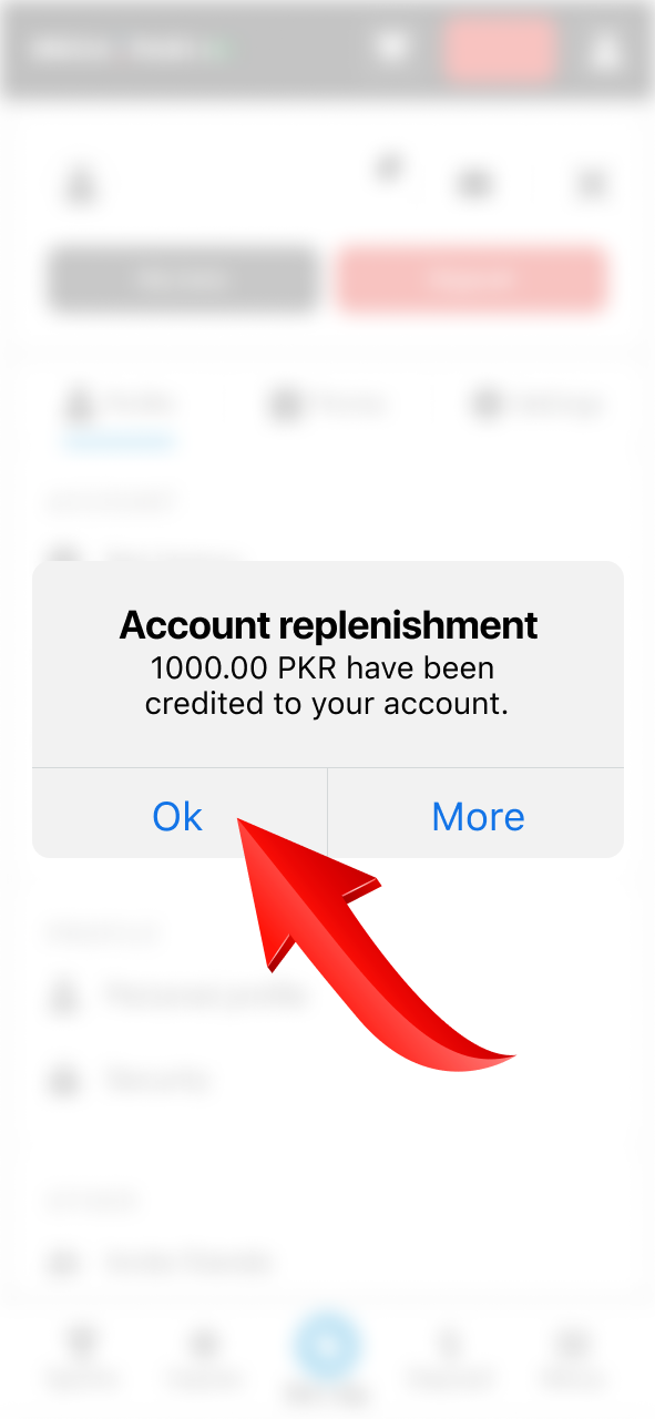 Successful transactions with the official Megapari website.