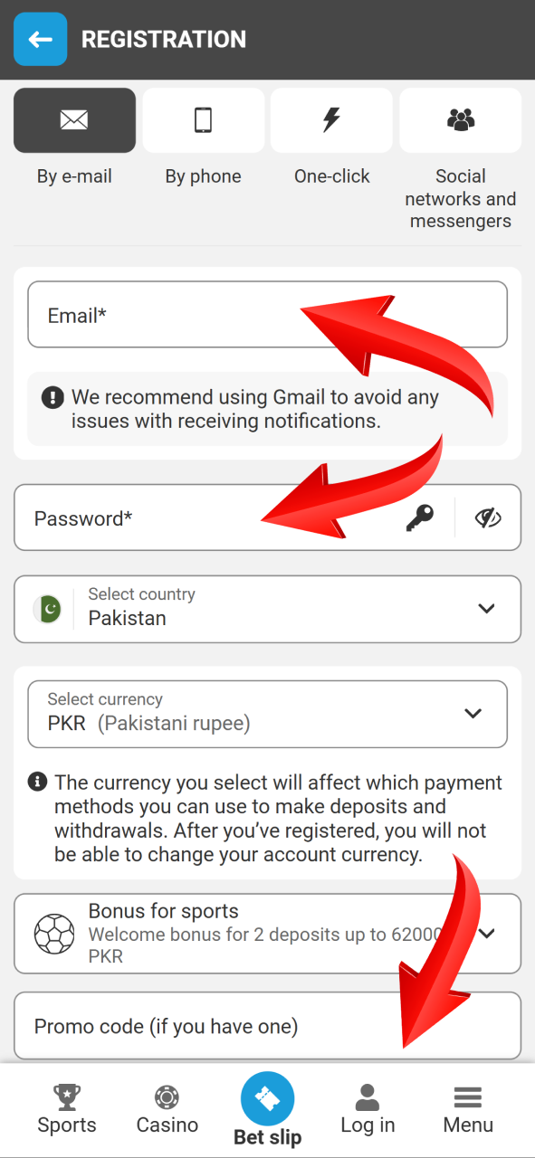 Fill in your secure password and email address on the Megapari form.