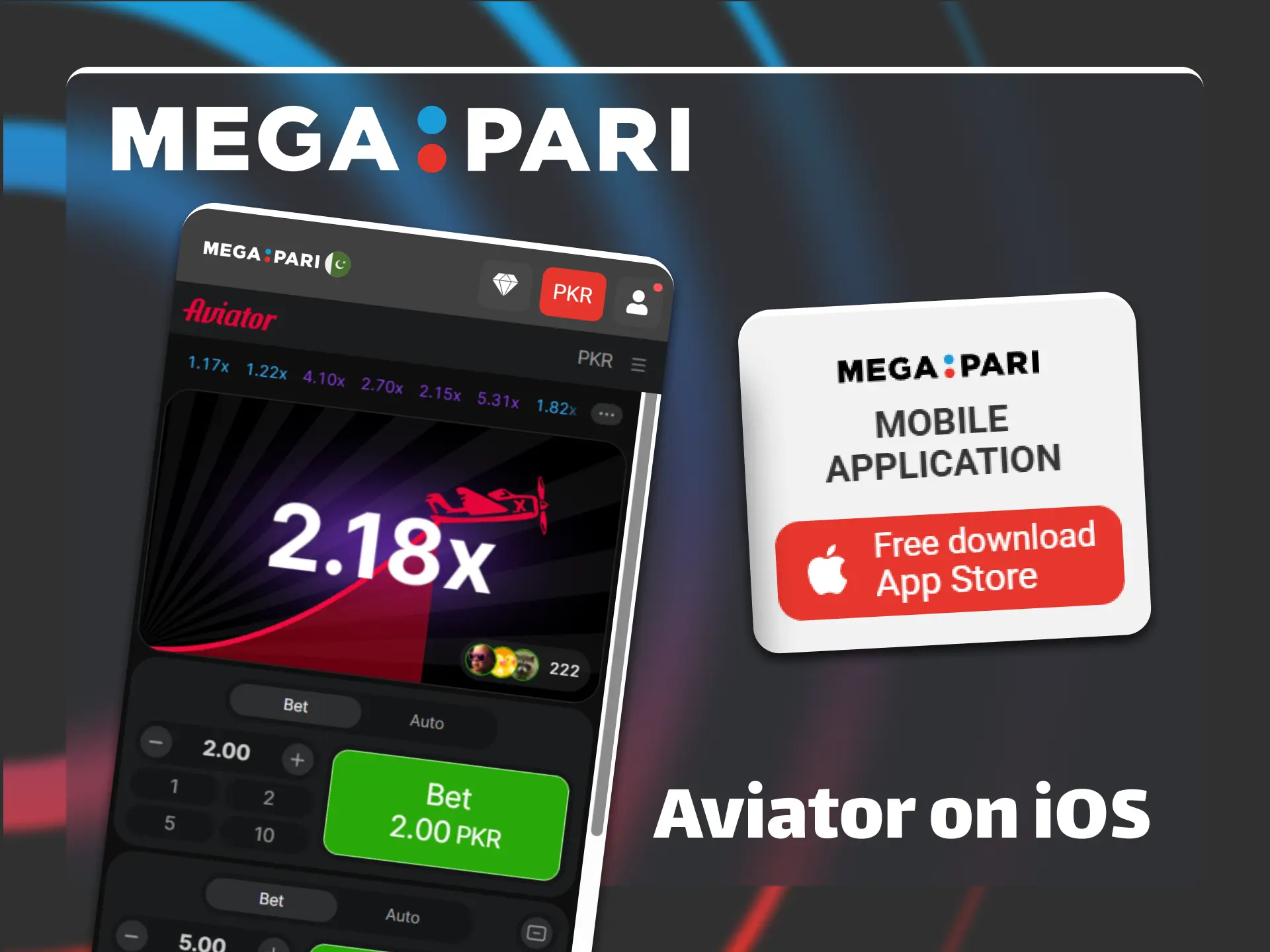 Install the official Megapari mobile app on your iOS device.