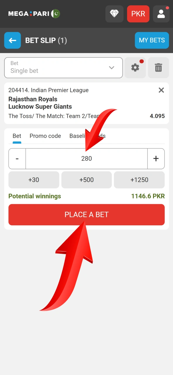Submit your cricket bet slip through the official Megapari sportsbook.