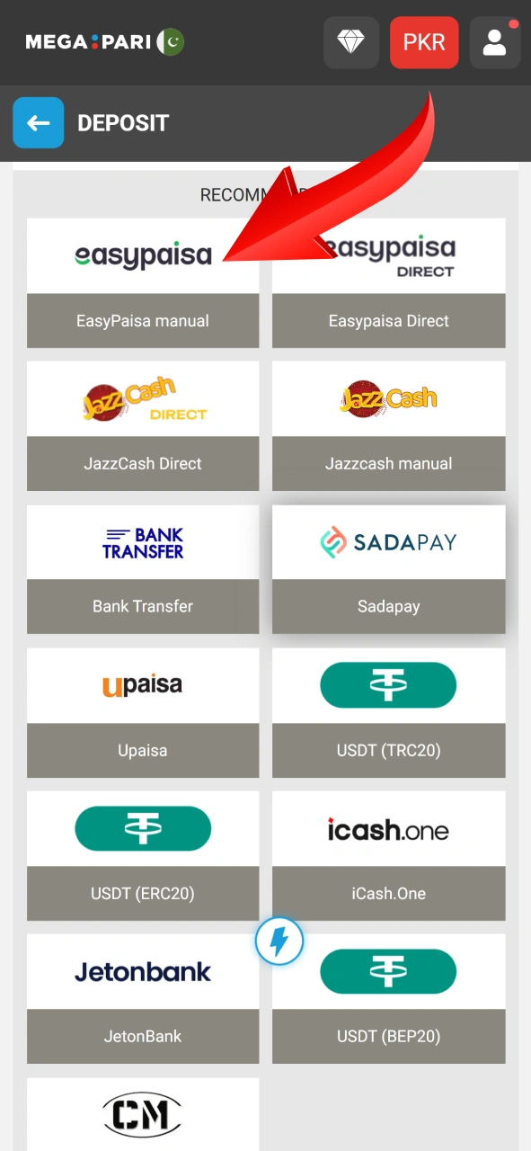 Fund your balance securely through the official Megapari deposit section.