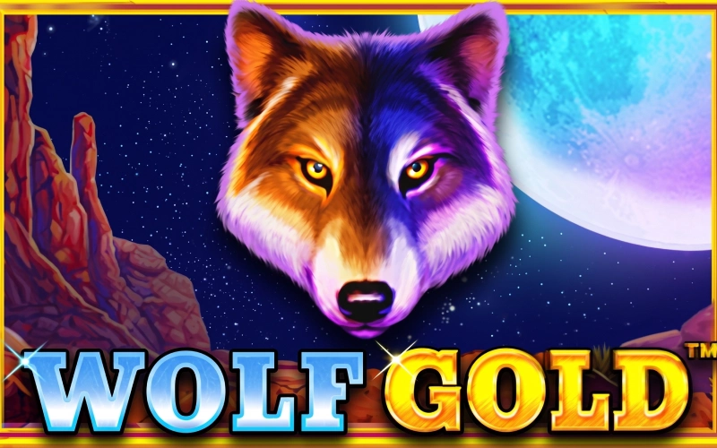 Play the Wolf Gold slot on the official Megapari website.